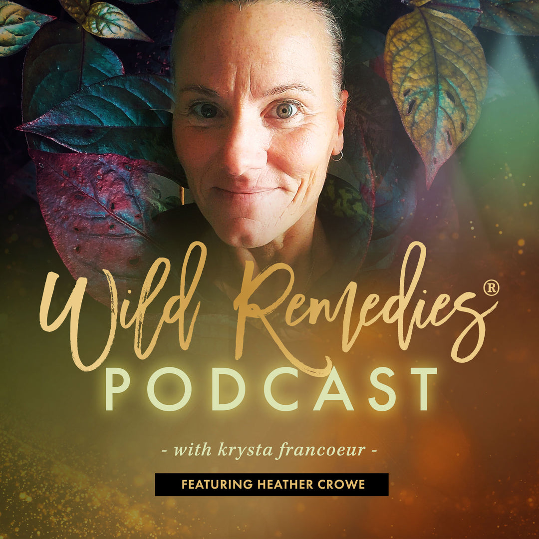 WILD REMEDIES PODCAST: EPISODE #11