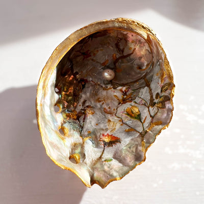 Incense Dish | Elegance: Abalone & Pearl