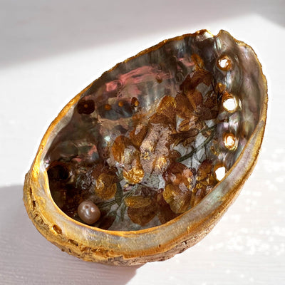 Incense Dish | Elegance: Abalone & Pearl (standing)