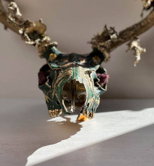 FAUN