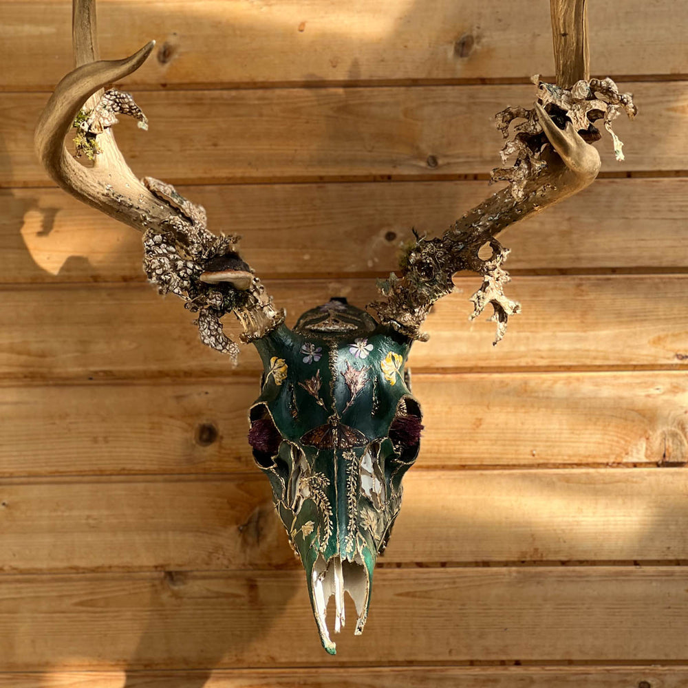 FAUN