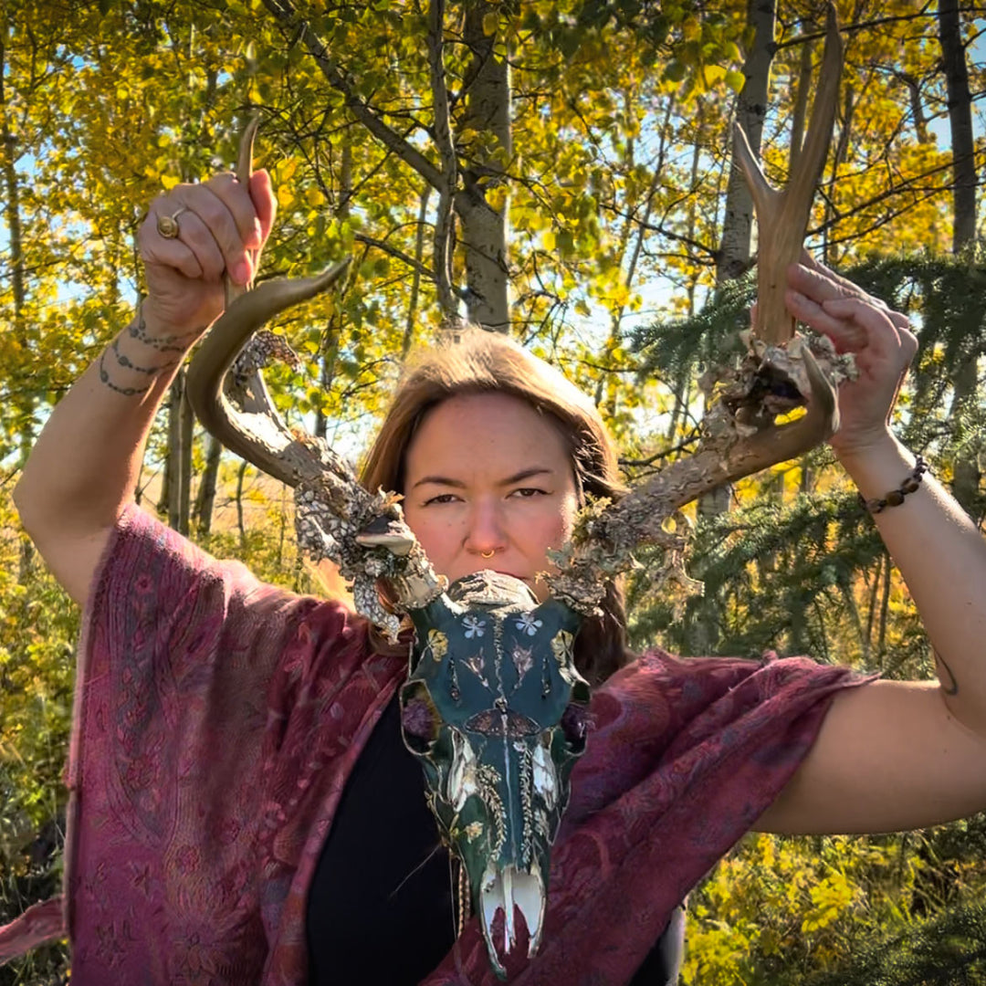 FAUN