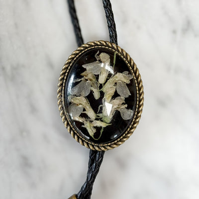 Bolo: Vetch