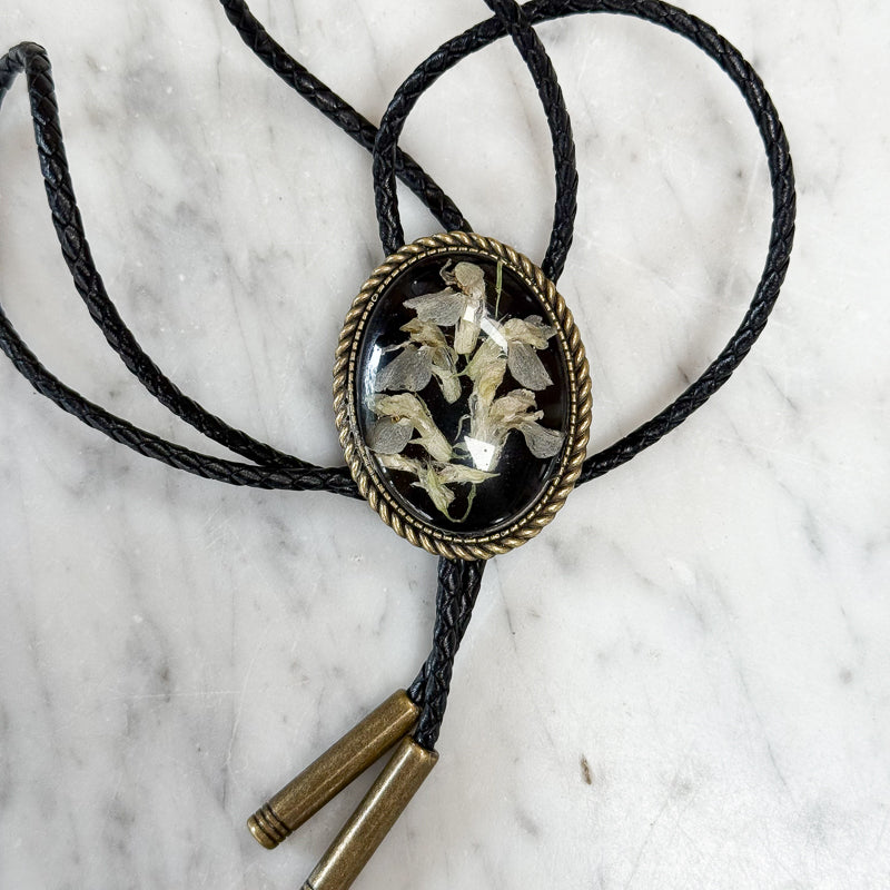 Bolo: Vetch