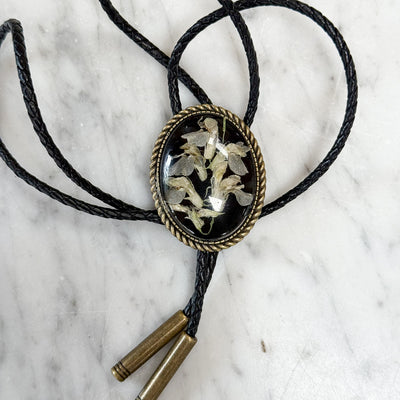 Bolo: Vetch