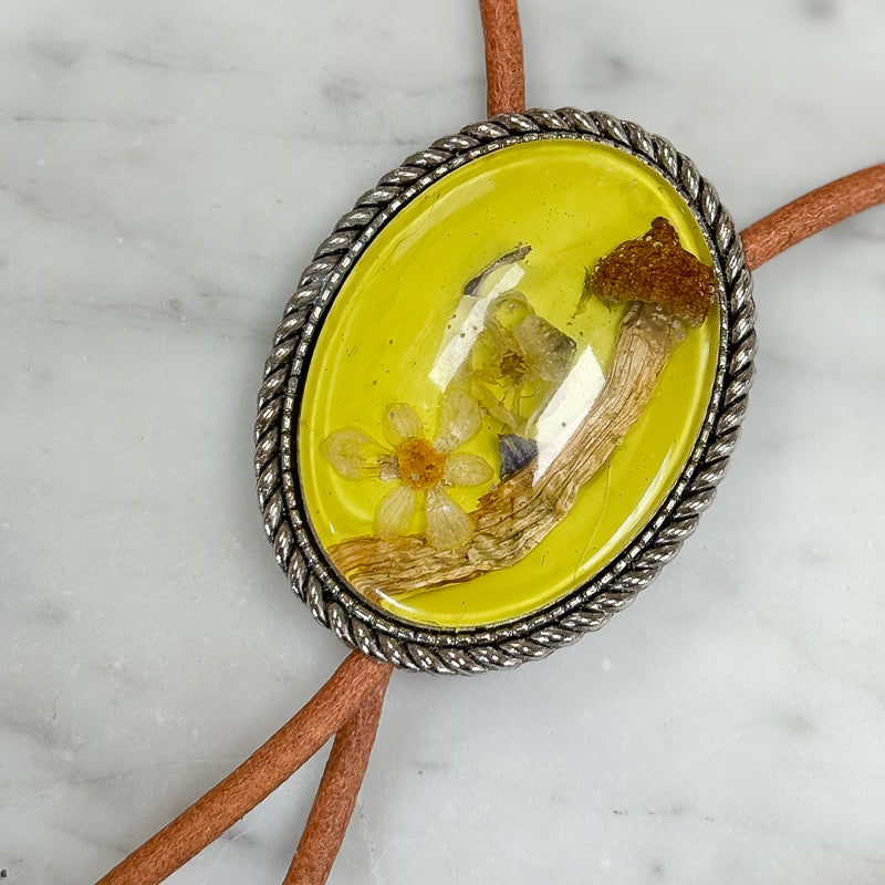 Bolo: Magick 'Shroom + Columbine