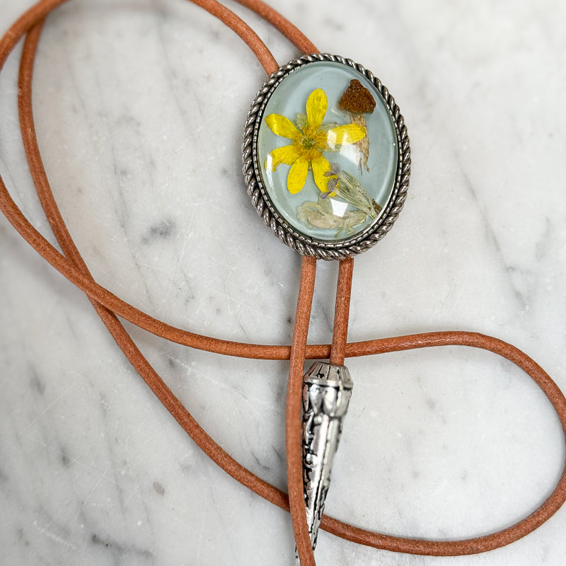 Bolo: Magick Shroom & Buttercup