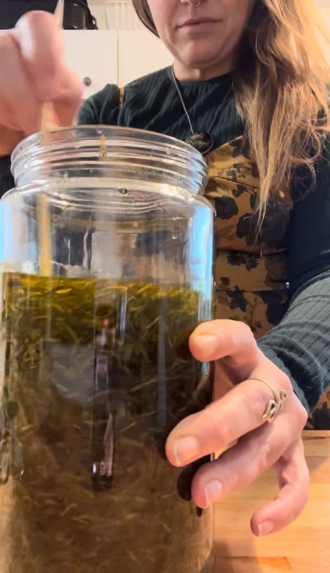 Borealis: Forest Infusion