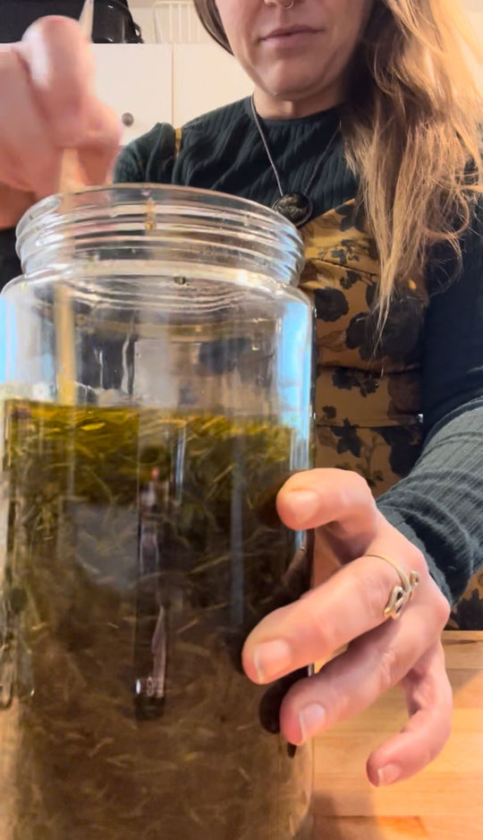 Borealis: Forest Infusion