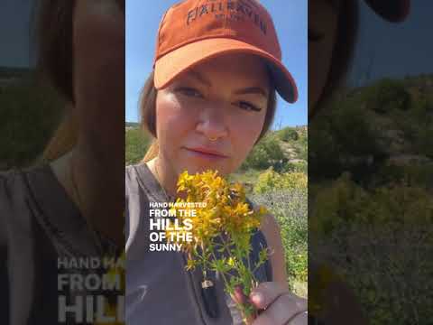 Medicated Massage Oil: St. John's Wort